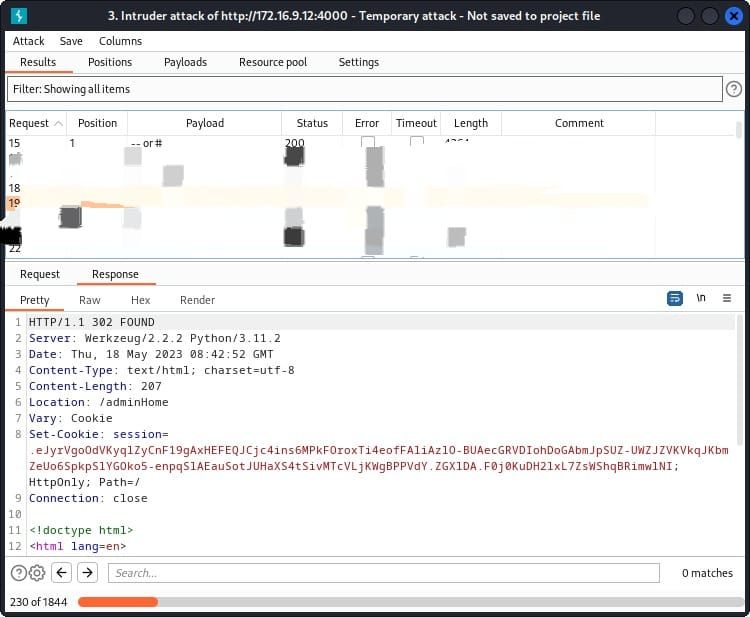 Burp Suite Payload